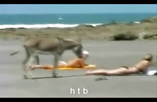 XXX Mi Sexy piercings Latina con piercing en video porno de paraguaya el pezón y el coño Interra